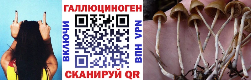 Галлюциногенные грибы Magic Shrooms  дарнет шоп  Горячеводский 